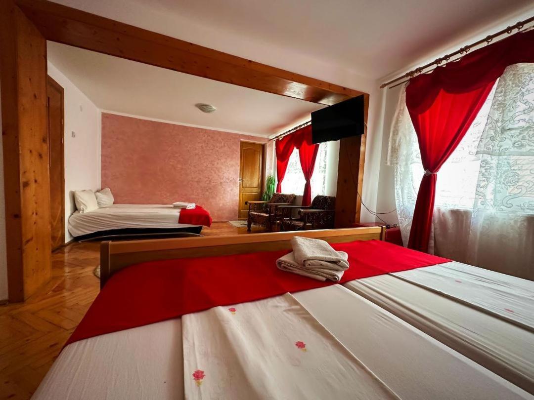 Hotel Casa Mary Haţeg Exteriér fotografie