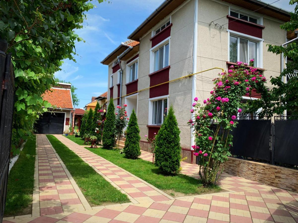 Hotel Casa Mary Haţeg Exteriér fotografie